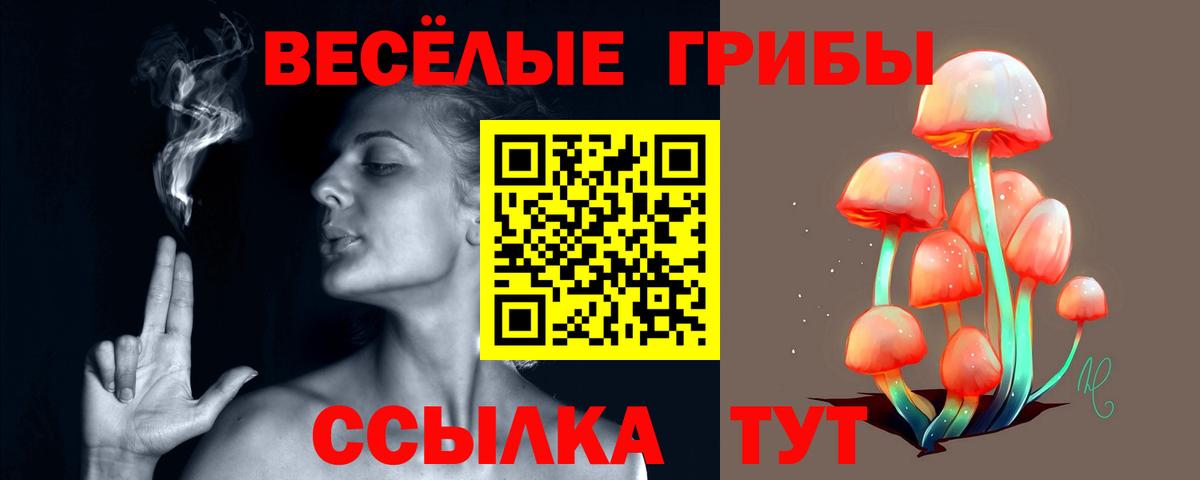 Псилоцибиновые грибы Cubensis Губаха